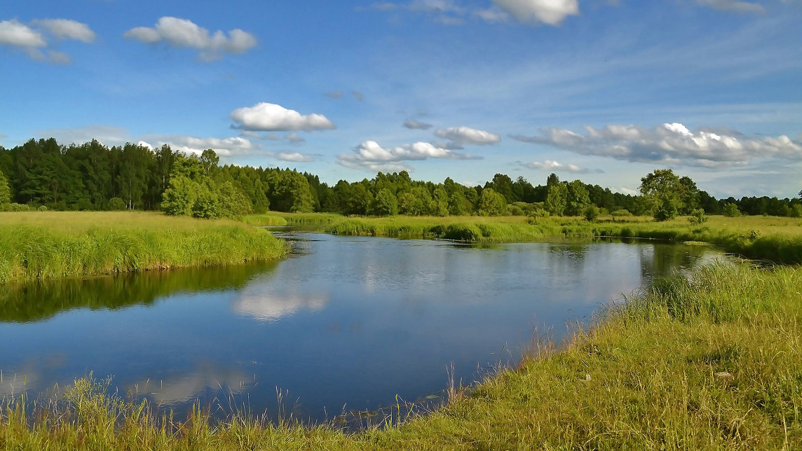 Дослідження води відкритих водойм